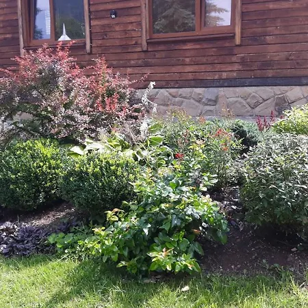 אורחן у тарнавских *