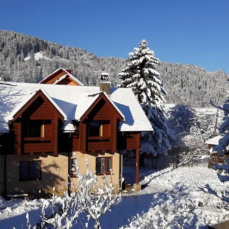у тарнавских מיקוליצ'ין