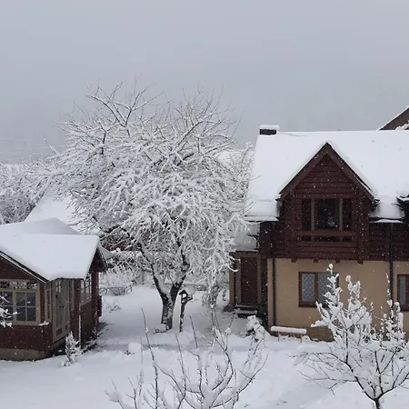 אורחן у тарнавских *