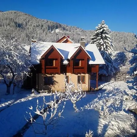 у тарнавских *