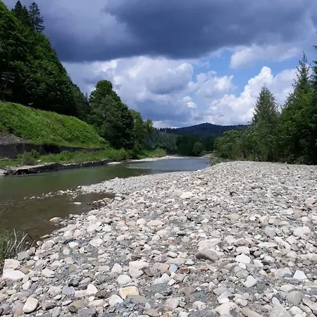у тарнавских מיקוליצ'ין