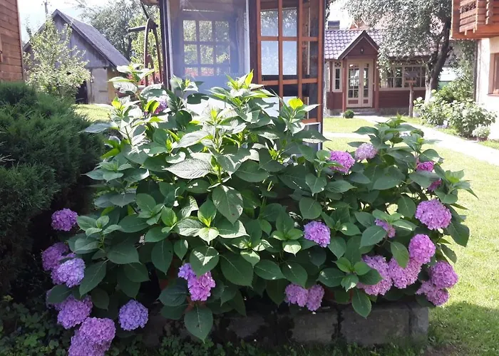 у тарнавских *