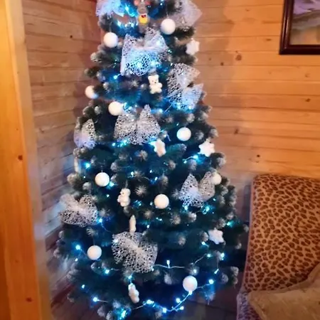 у тарнавских Inn *