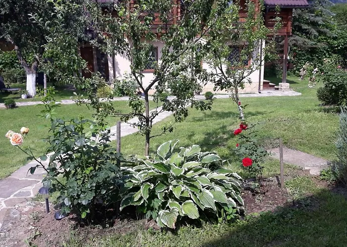 у тарнавских Mykulychyn